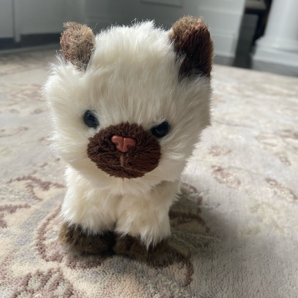 American Girl Cat. Moveable legs